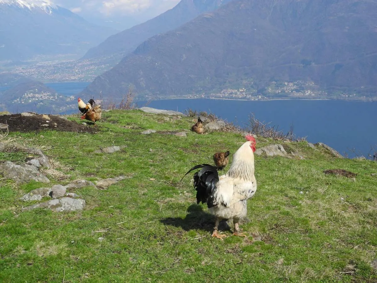 Agriturismo Piccolo Paradiso Pianello Del Lario