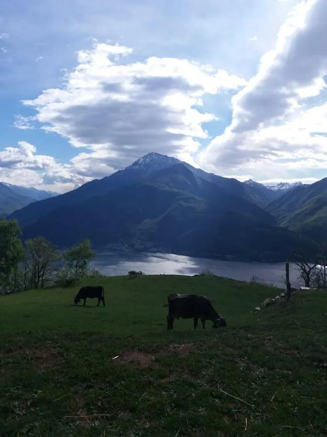 Agriturismo Piccolo Paradiso Pianello Del Lario 0*,