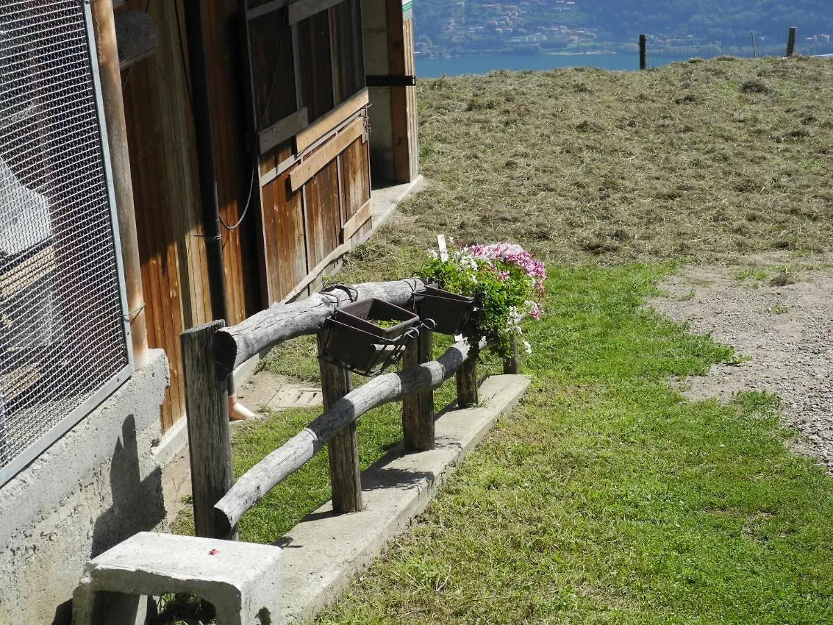 Agriturismo Piccolo Paradiso Pianello Del Lario 0*,
