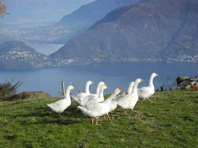 Agriturismo Piccolo Paradiso Pianello Del Lario Italy