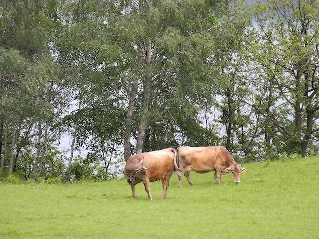 Agriturismo Piccolo Paradiso Pianello Del Lario 0*,  Italy