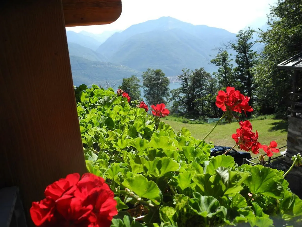 Apartment Agriturismo Piccolo Paradiso Pianello Del Lario