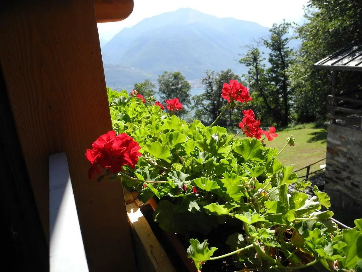 Agriturismo Piccolo Paradiso Pianello Del Lario Italy